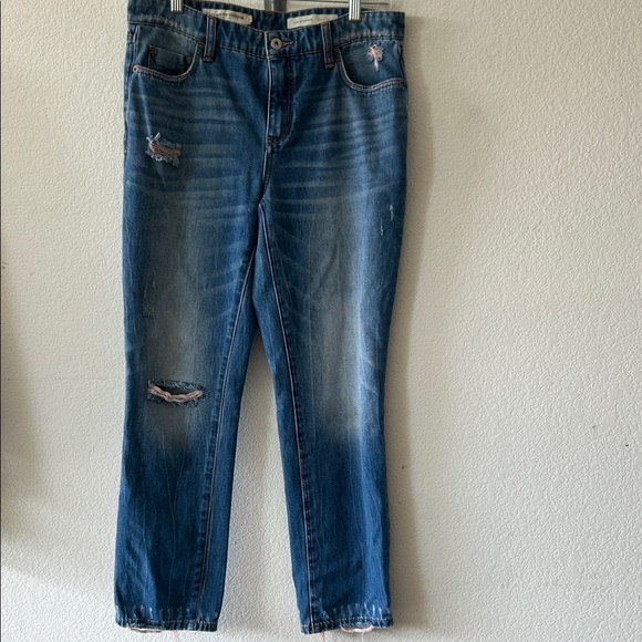 Pilcro and the Letterpress Slim Boyfriend Jeans size 29 - Picture 1 of 8